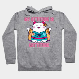 My attitude is cattitude Hoodie